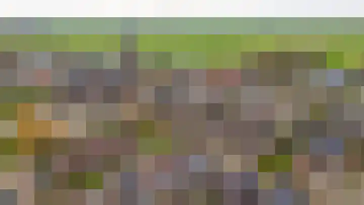 De Groes 6 Schalkwijk thumbnail 58