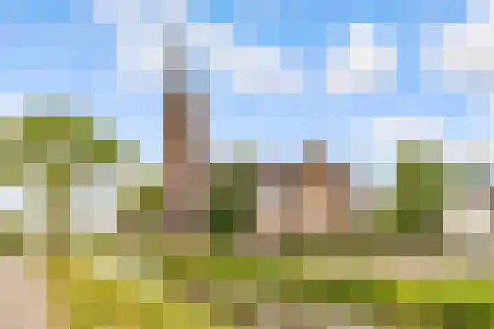De Groes 6 Schalkwijk thumbnail 64