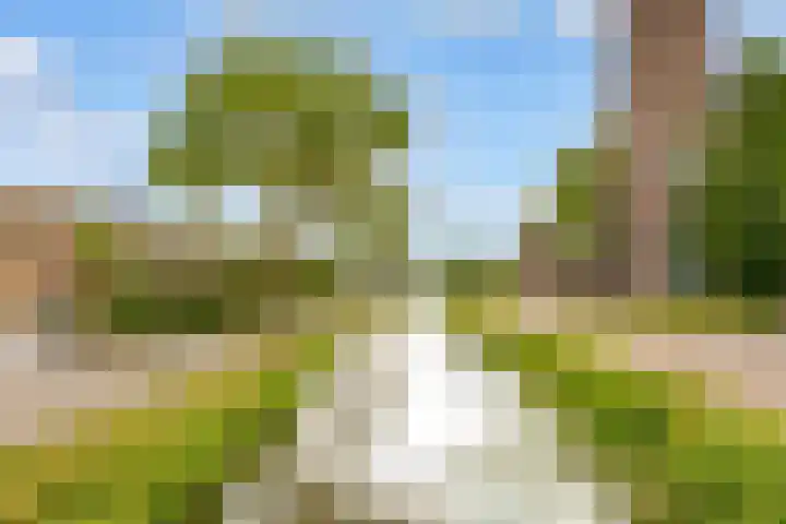 De Groes 6 Schalkwijk thumbnail 67
