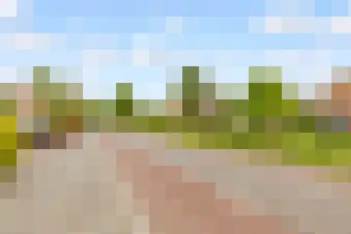 De Groes 6 Schalkwijk thumbnail 69