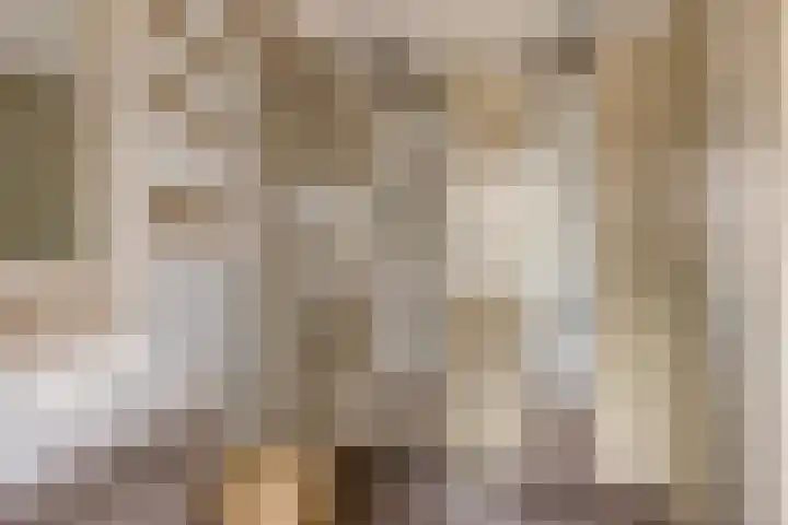 De Groeskant 32 Berlicum thumbnail 30