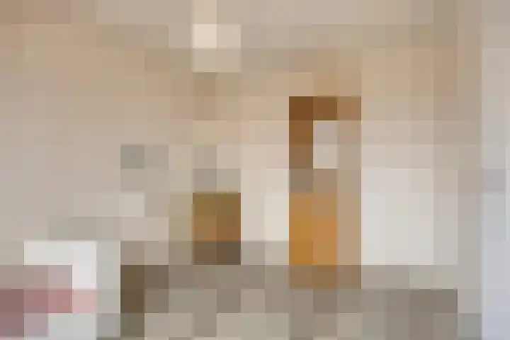 De Groeskant 32 Berlicum thumbnail 35
