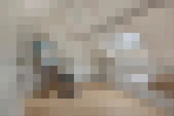 De Groeskant 32 Berlicum thumbnail 37