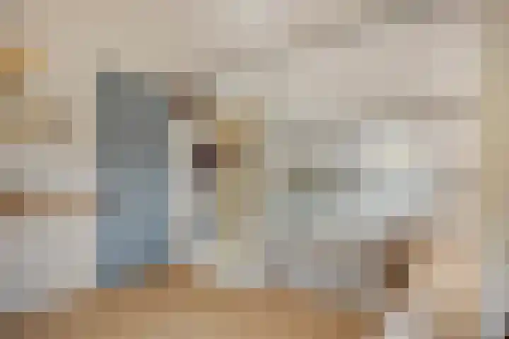 De Groeskant 32 Berlicum thumbnail 38