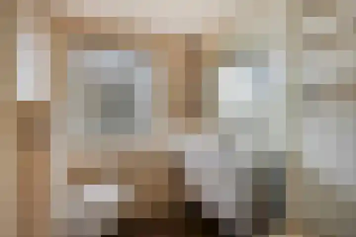 De Groeskant 32 Berlicum thumbnail 4