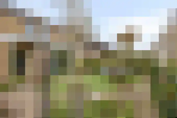 De Groeskant 32 Berlicum thumbnail 47