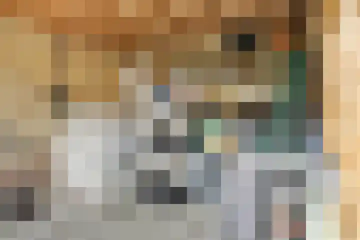 De Groeskant 32 Berlicum thumbnail 50