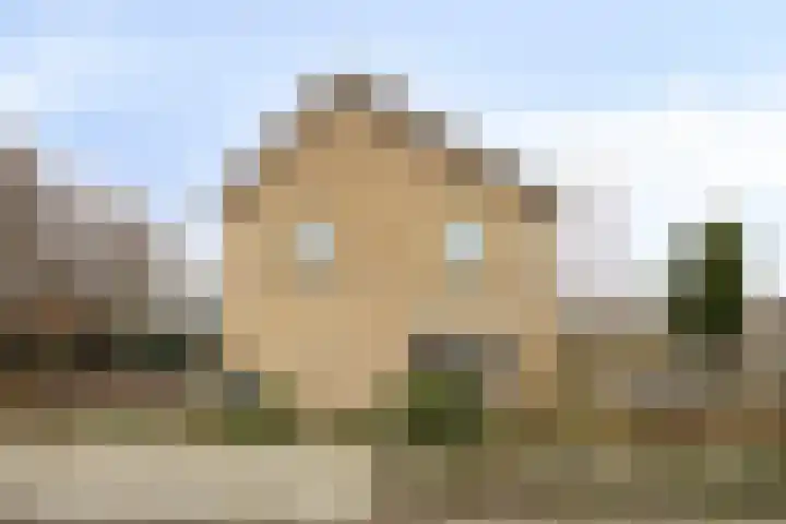 De Groeskant 32 Berlicum thumbnail 54