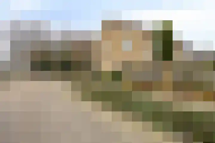 De Groeskant 32 Berlicum thumbnail 55