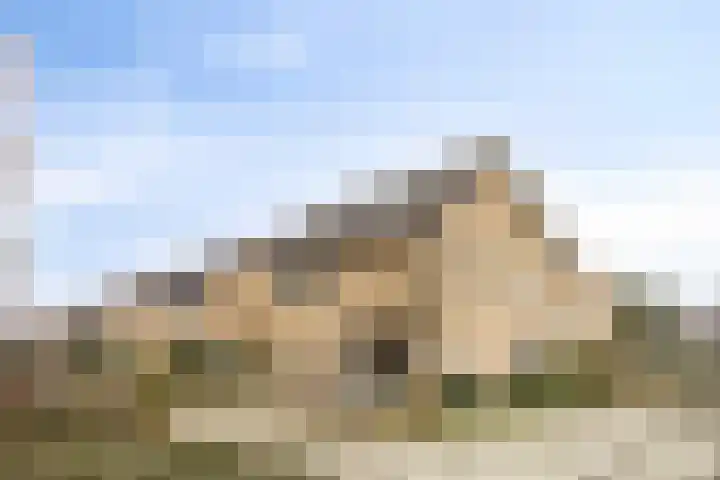 De Groeskant 32 Berlicum thumbnail 56