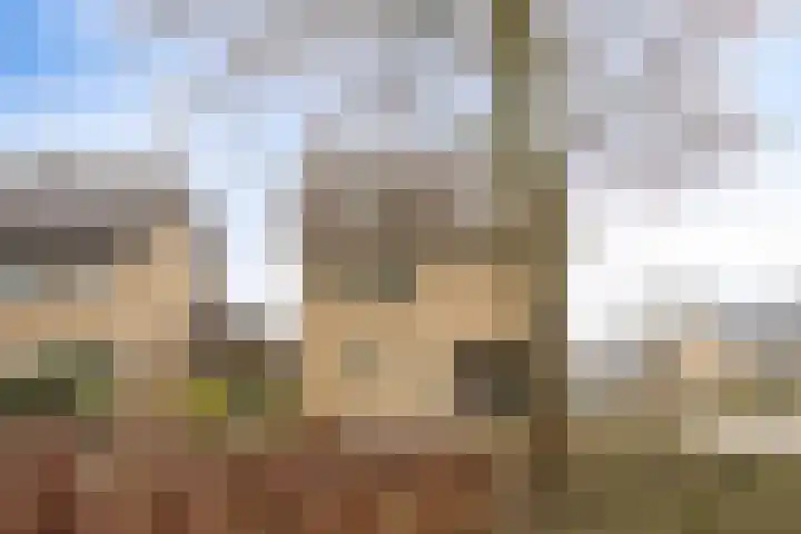 De Groeskant 32 Berlicum thumbnail 57