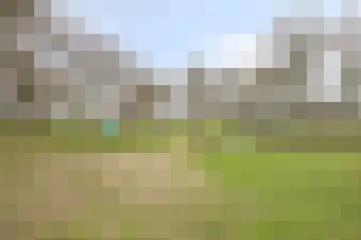 De Groeskant 32 Berlicum thumbnail 60