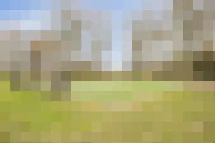 De Groeskant 32 Berlicum thumbnail 61