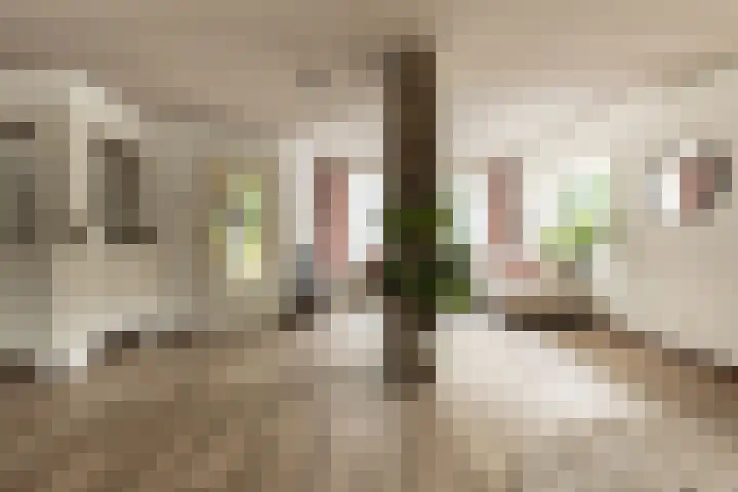 De Groeskant 4 Berlicum thumbnail 10