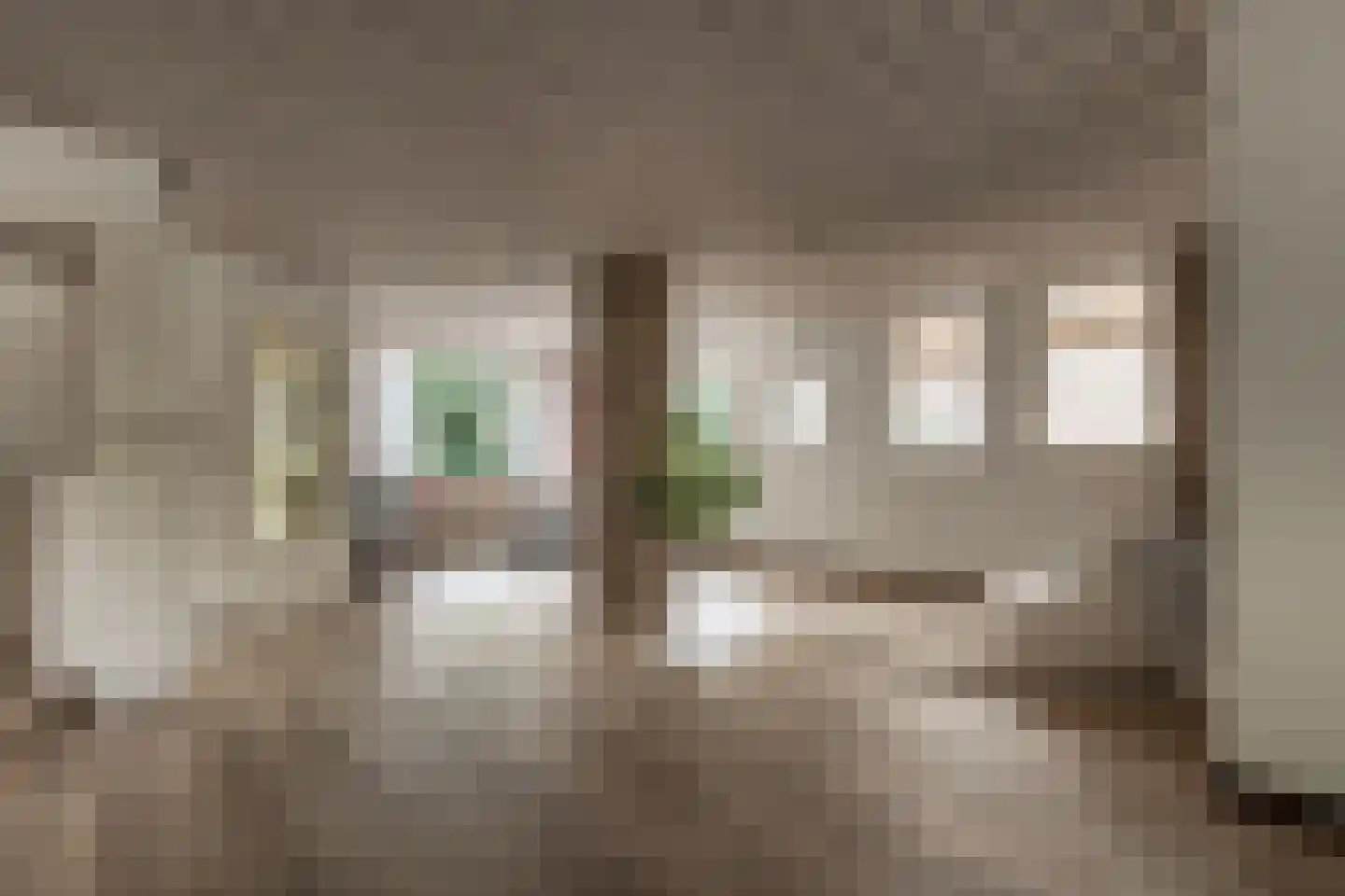 De Groeskant 4 Berlicum thumbnail 11