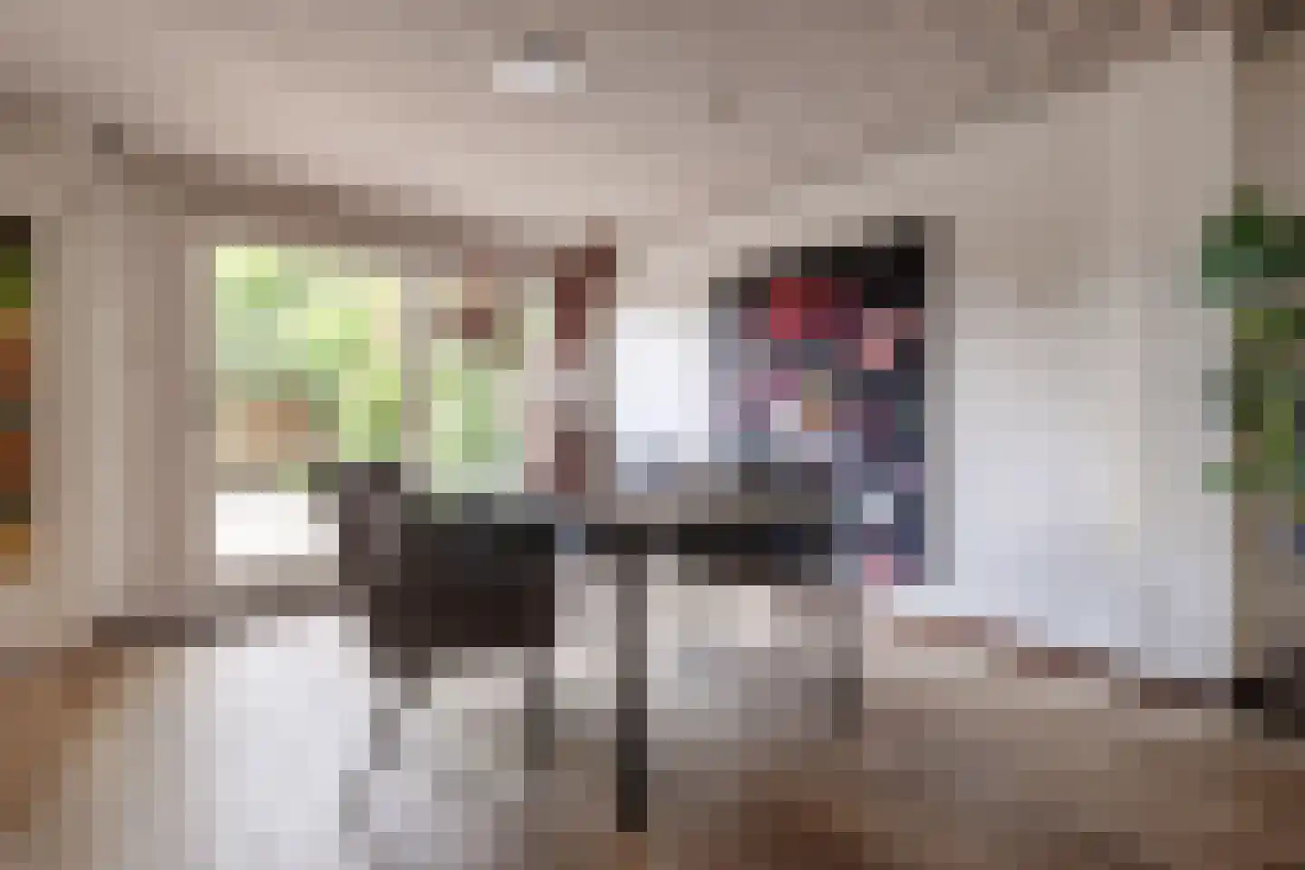 De Groeskant 4 Berlicum thumbnail 13
