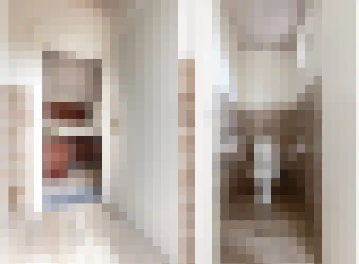 De Groeskant 4 Berlicum thumbnail 17