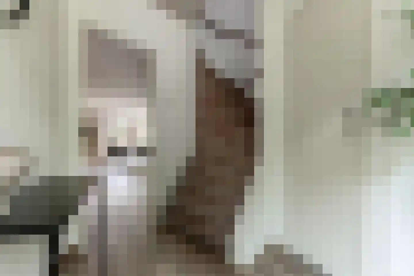 De Groeskant 4 Berlicum thumbnail 19