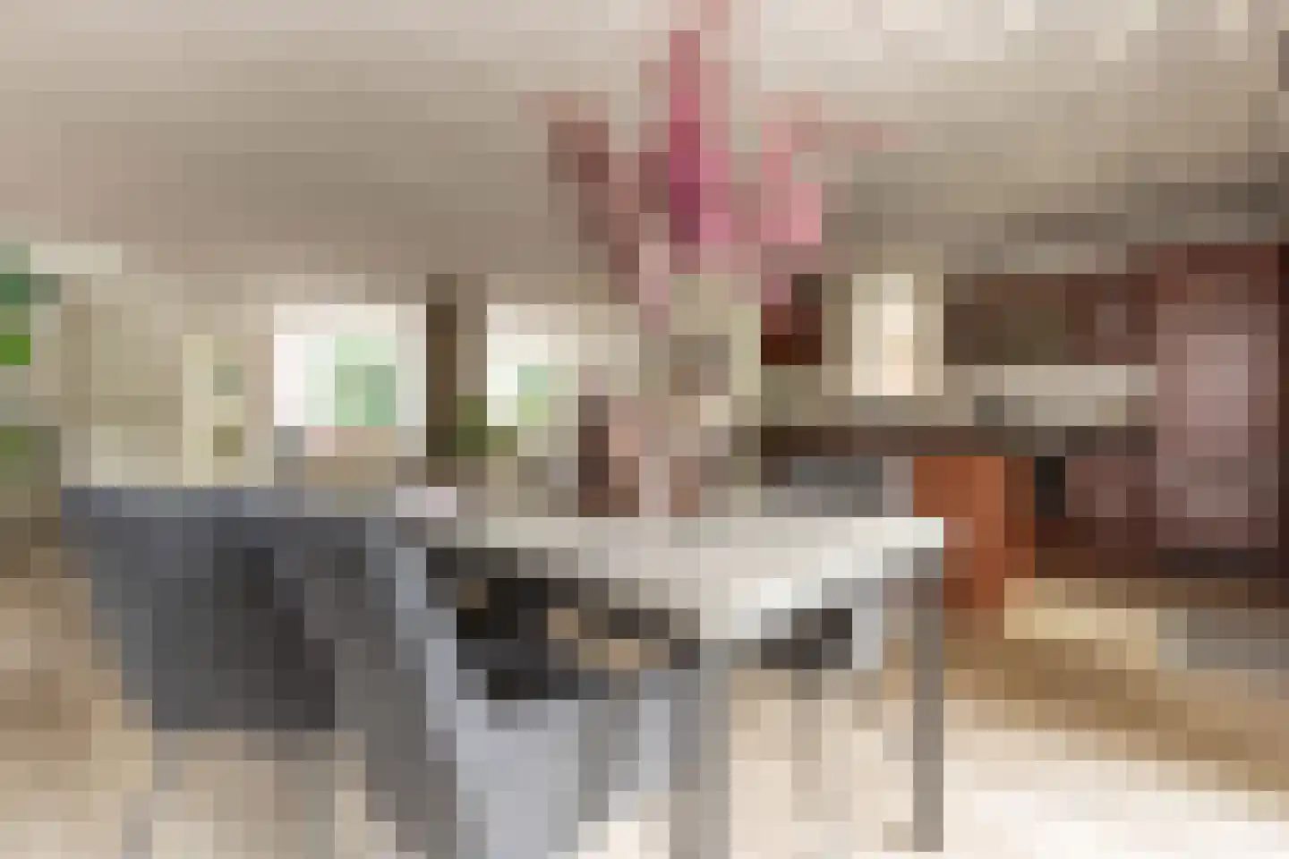 De Groeskant 4 Berlicum thumbnail 19