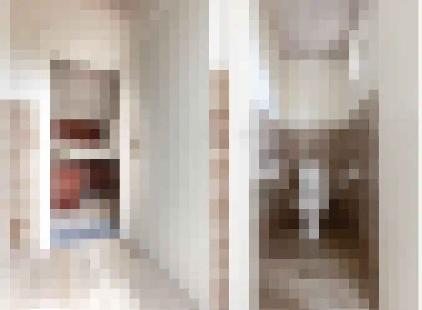 De Groeskant 4 Berlicum thumbnail 20