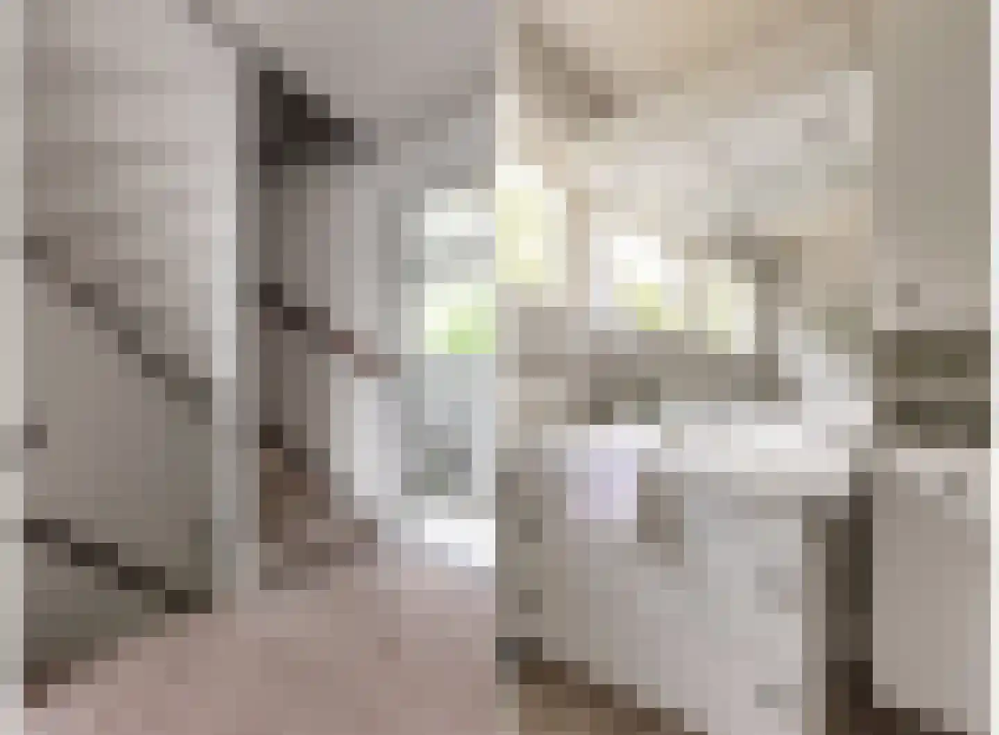 De Groeskant 4 Berlicum thumbnail 29