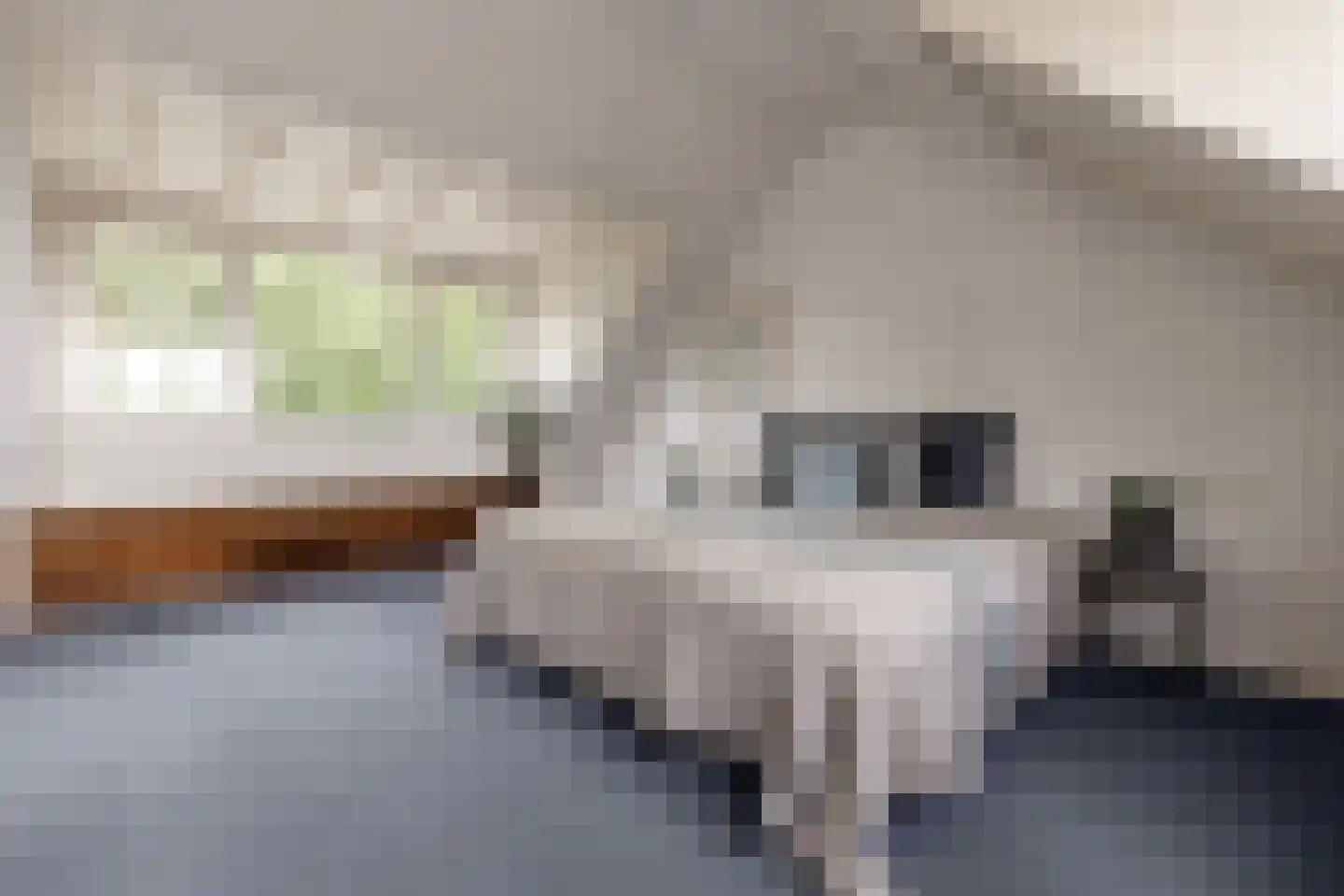 De Groeskant 4 Berlicum thumbnail 31