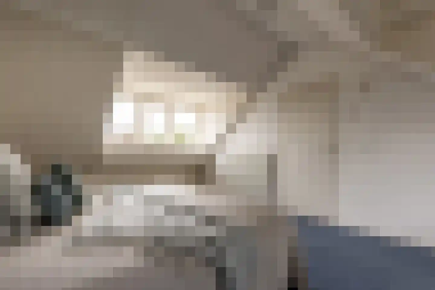 De Groeskant 4 Berlicum thumbnail 33