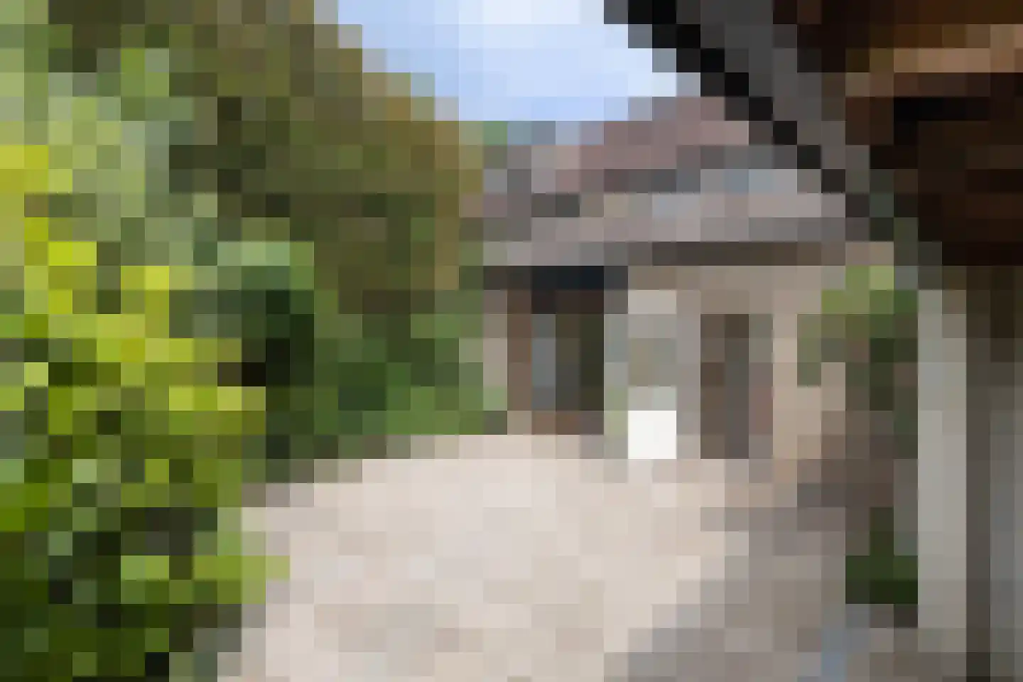De Groeskant 4 Berlicum thumbnail 35