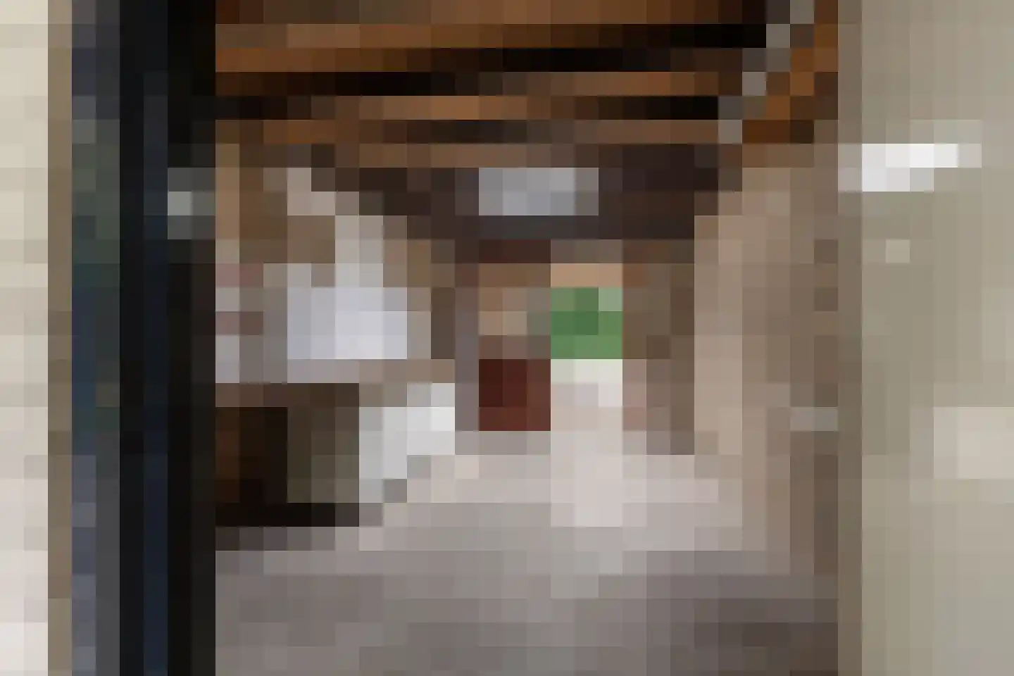 De Groeskant 4 Berlicum thumbnail 37