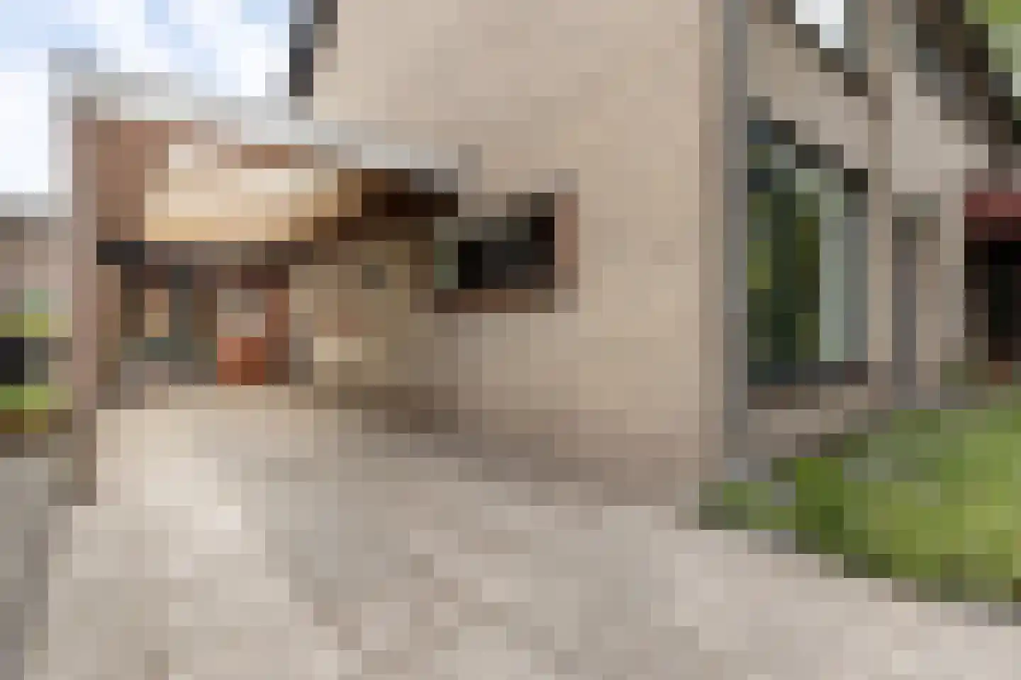 De Groeskant 4 Berlicum thumbnail 39