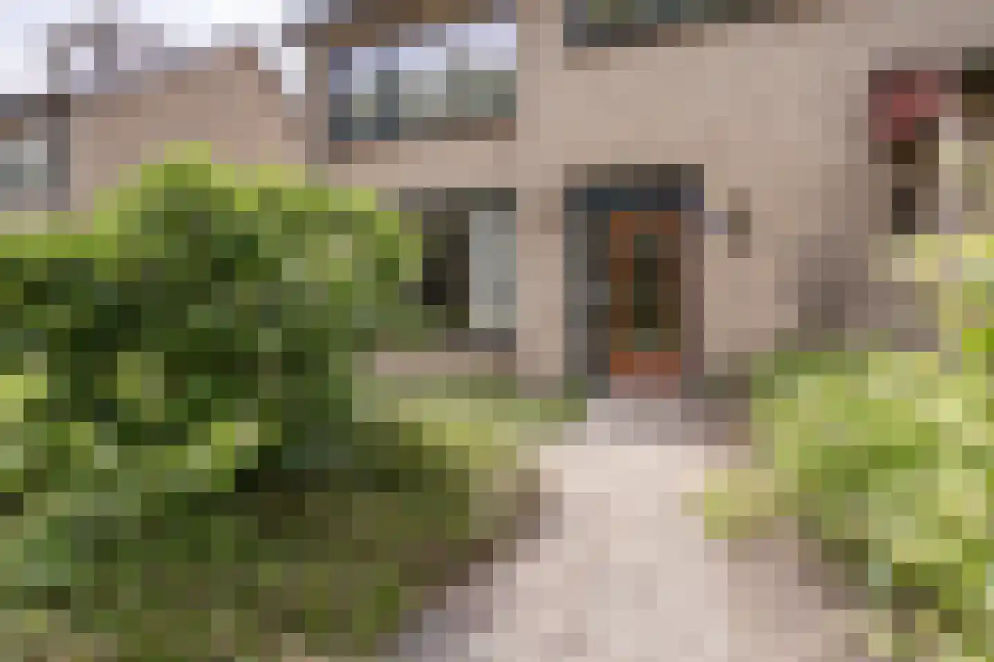 De Groeskant 4 Berlicum thumbnail 42