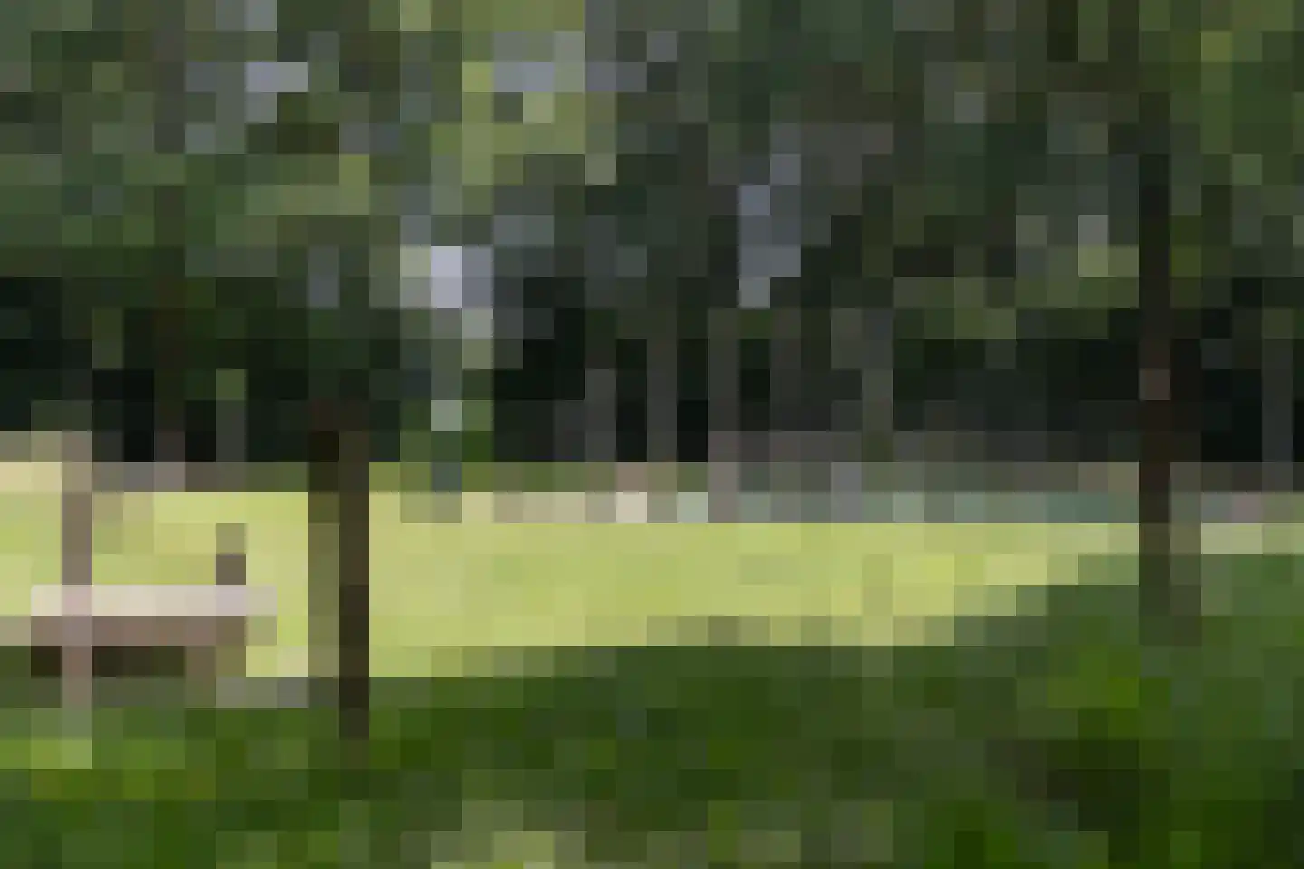De Groeskant 4 Berlicum thumbnail 43