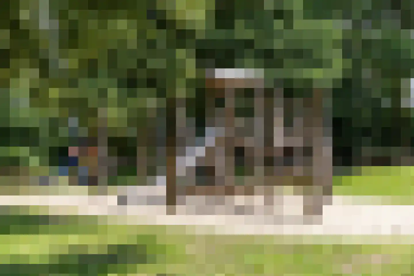 De Groeskant 4 Berlicum thumbnail 44