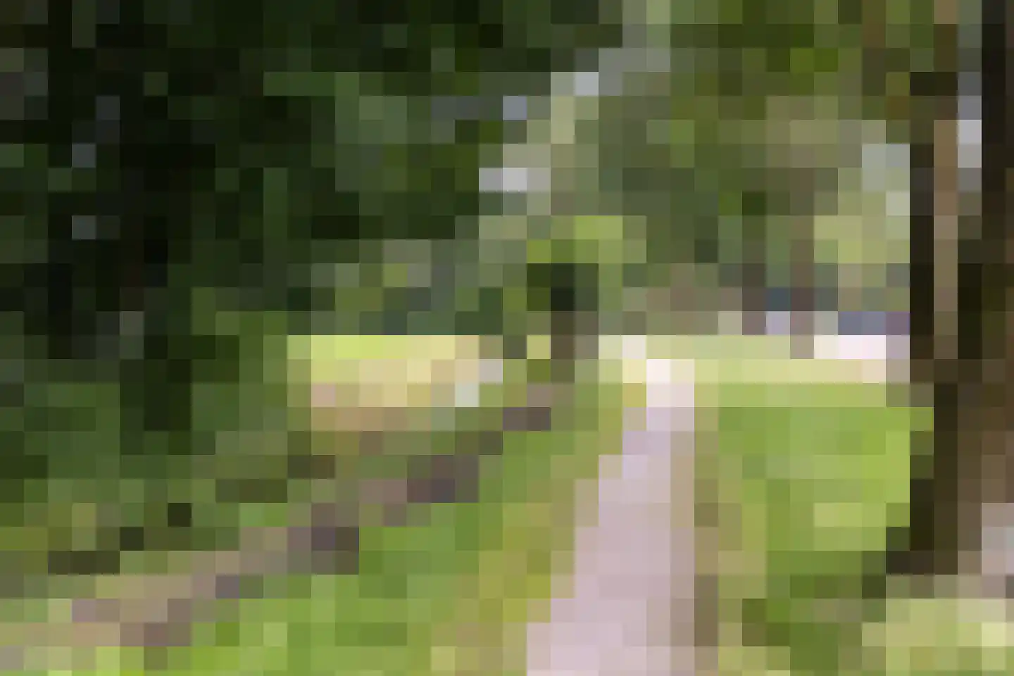 De Groeskant 4 Berlicum thumbnail 45