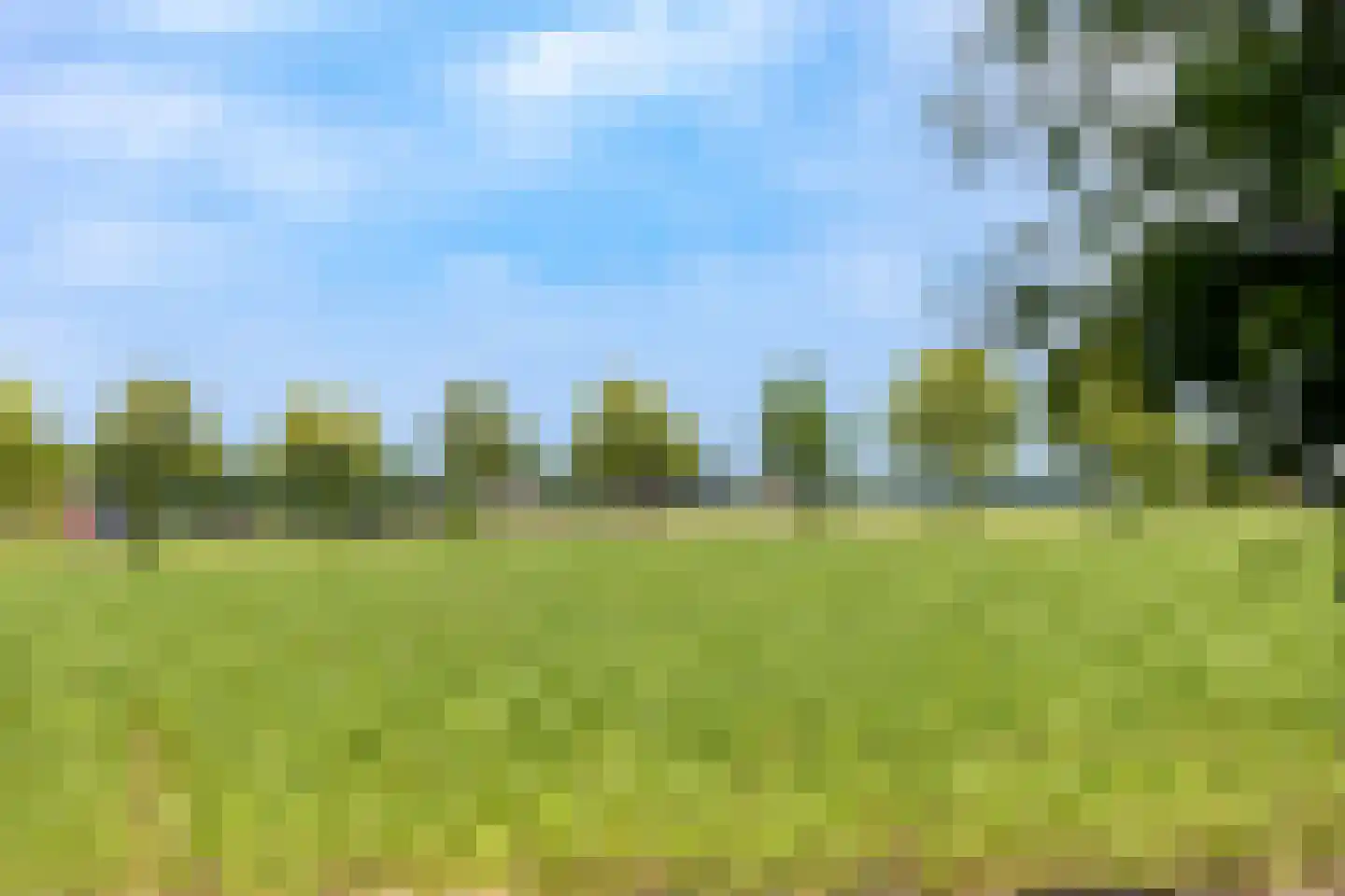 De Groeskant 4 Berlicum thumbnail 46