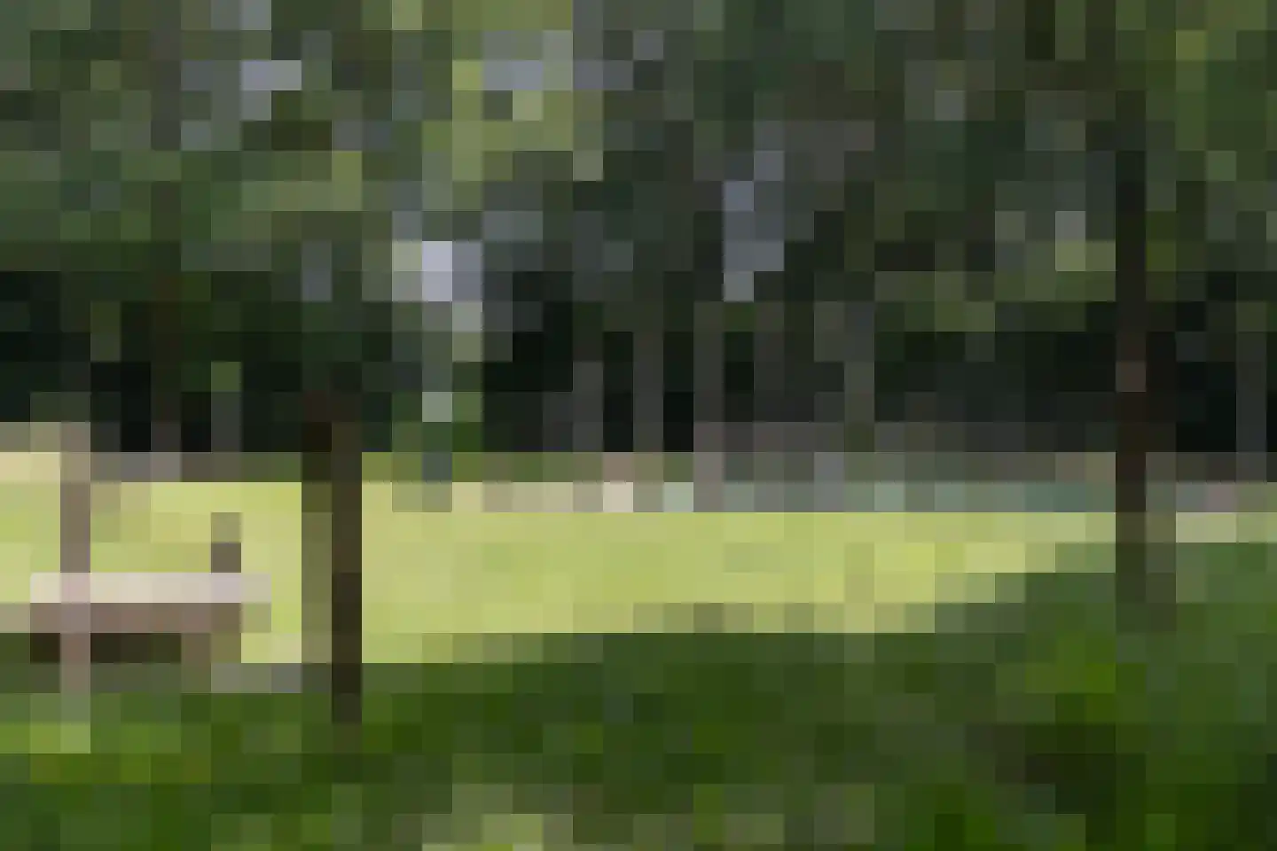 De Groeskant 4 Berlicum thumbnail 46