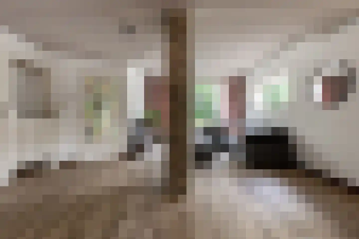 De Groeskant 4 Berlicum thumbnail 9