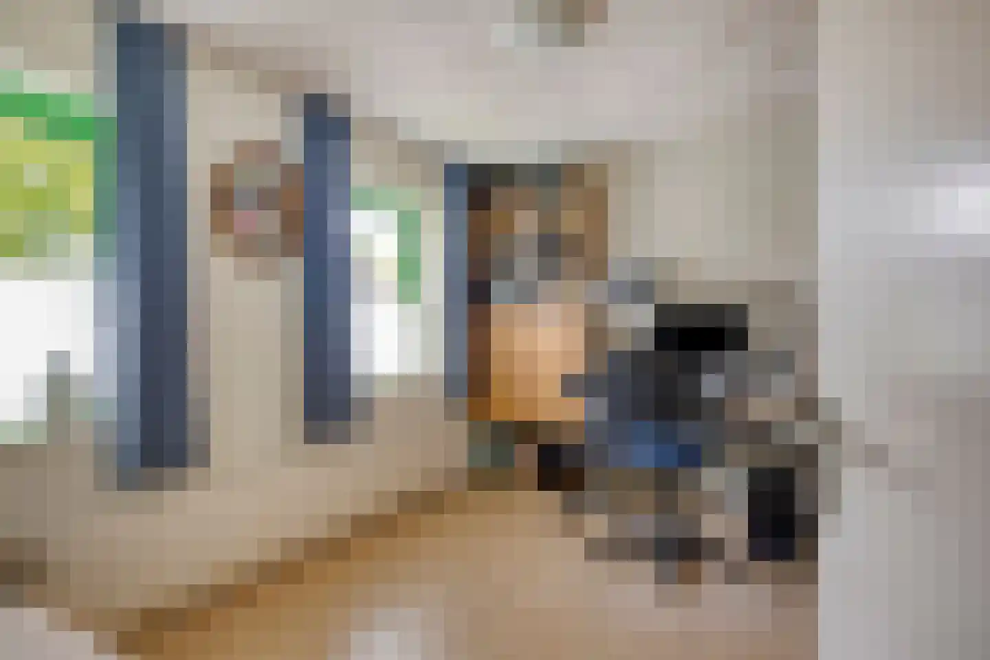 De Groeskant 50 Berlicum thumbnail 31