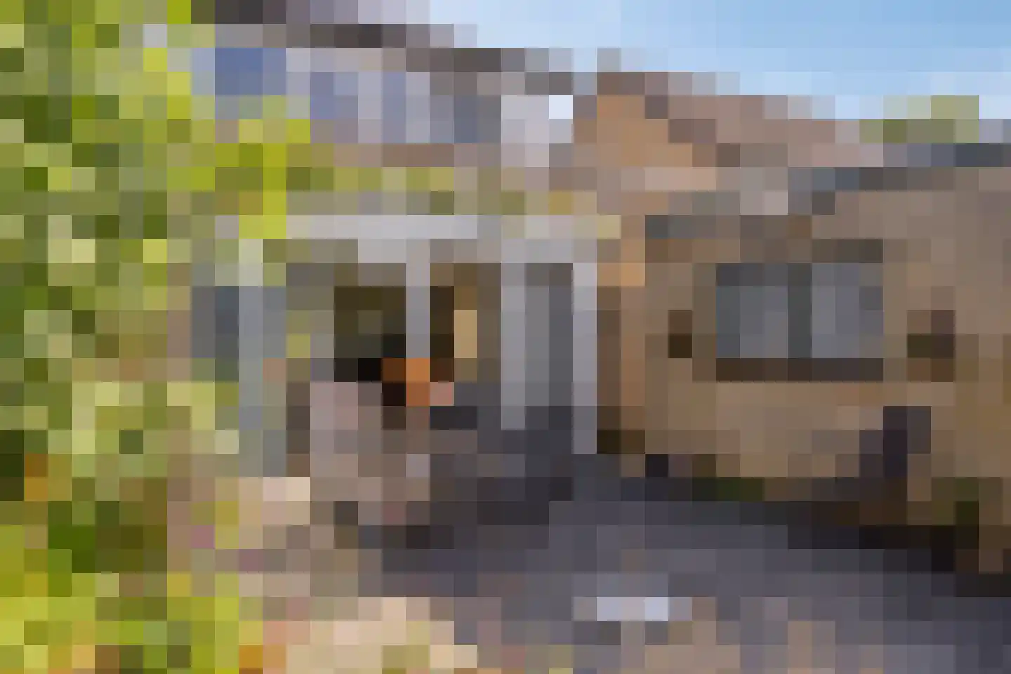 De Groeskant 50 Berlicum thumbnail 37
