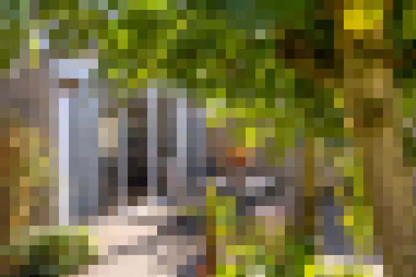 De Groeskant 50 Berlicum thumbnail 38
