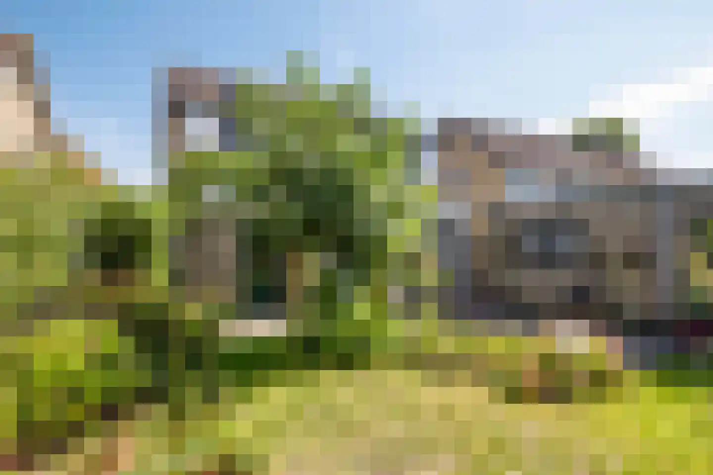 De Groeskant 50 Berlicum thumbnail 5