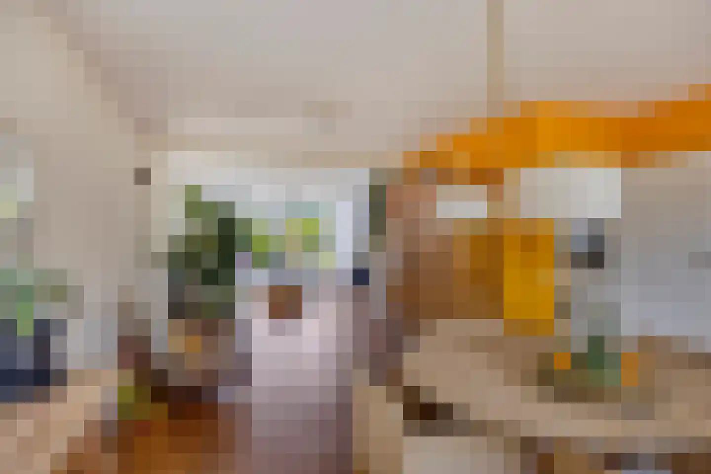 De Groeskant 50 Berlicum thumbnail 7