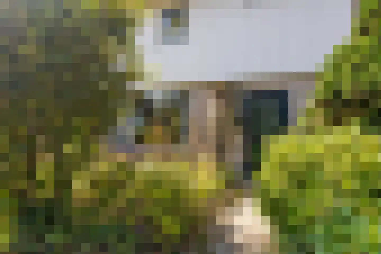 De Groeskant 50 Berlicum thumbnail 8