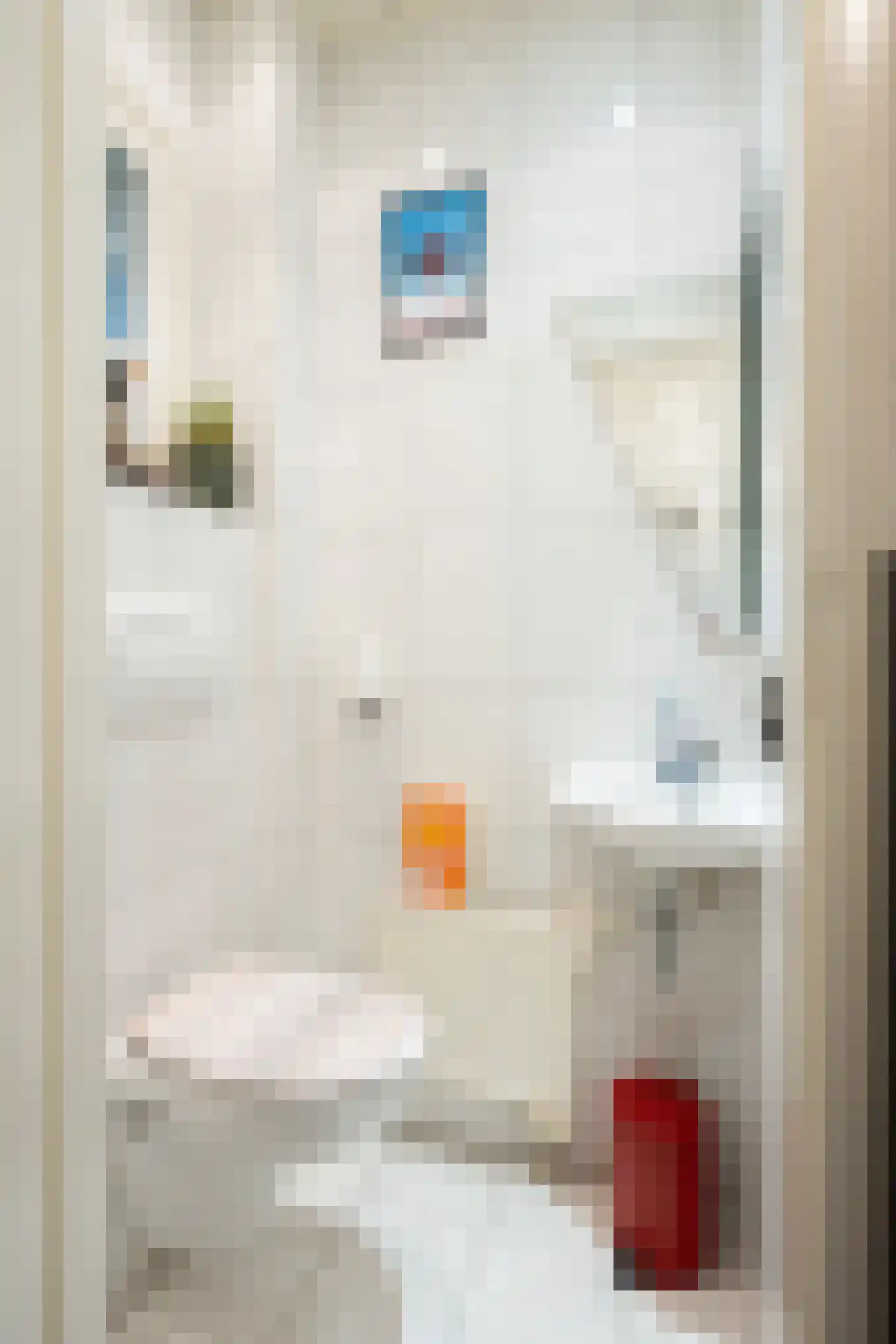 De Gronckelstraat 10 Limbricht thumbnail 12