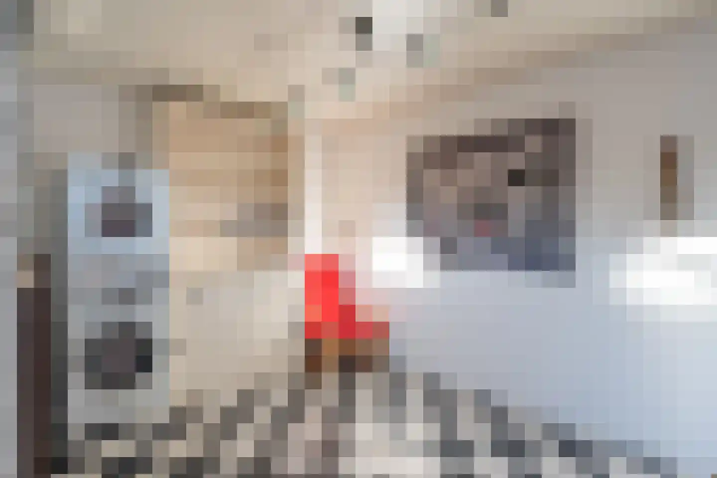 De Gronckelstraat 10 Limbricht thumbnail 26