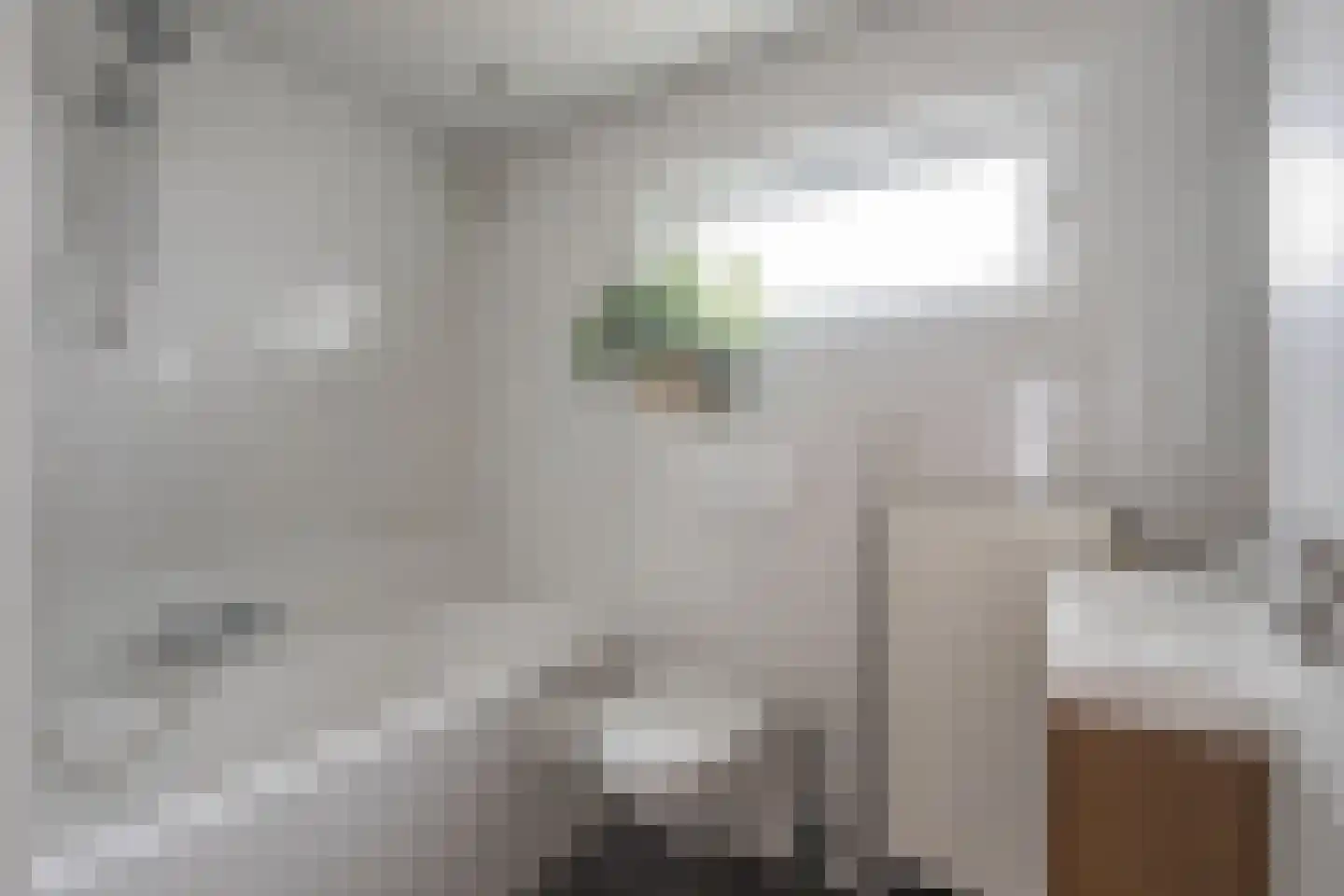 De Gronckelstraat 16 Limbricht thumbnail 17