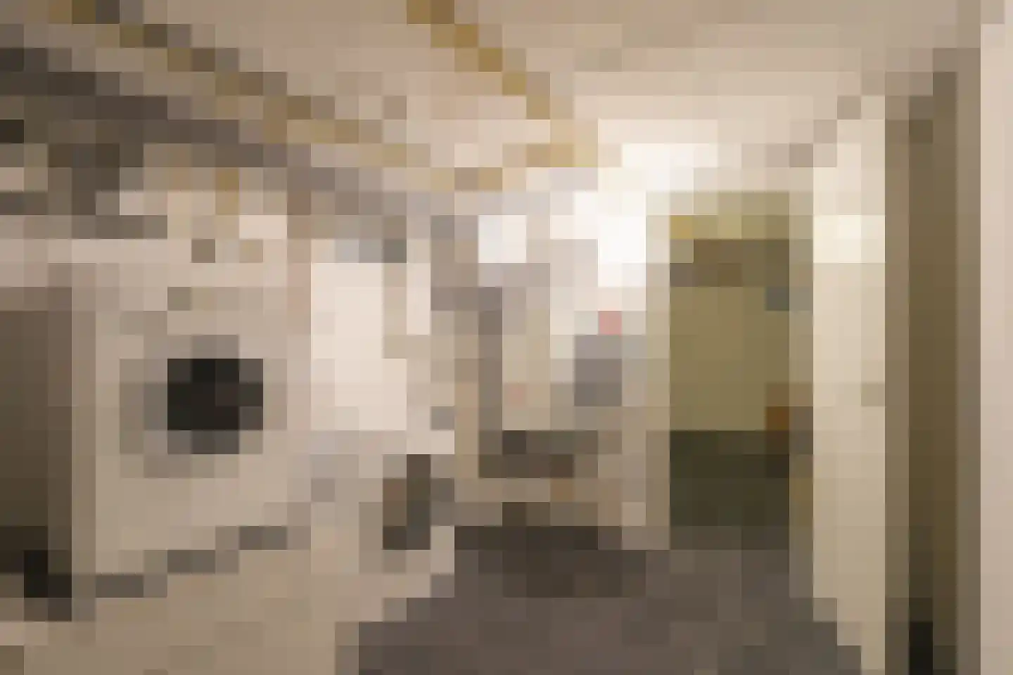 De Gronckelstraat 16 Limbricht thumbnail 19