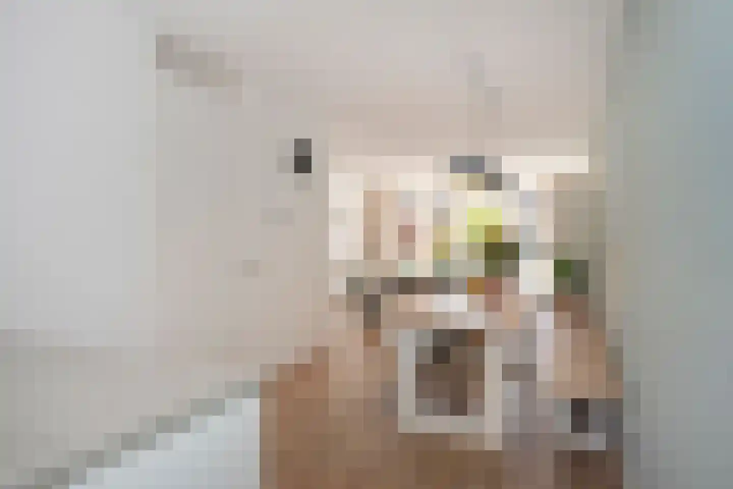 De Gronckelstraat 4 D Limbricht thumbnail 15