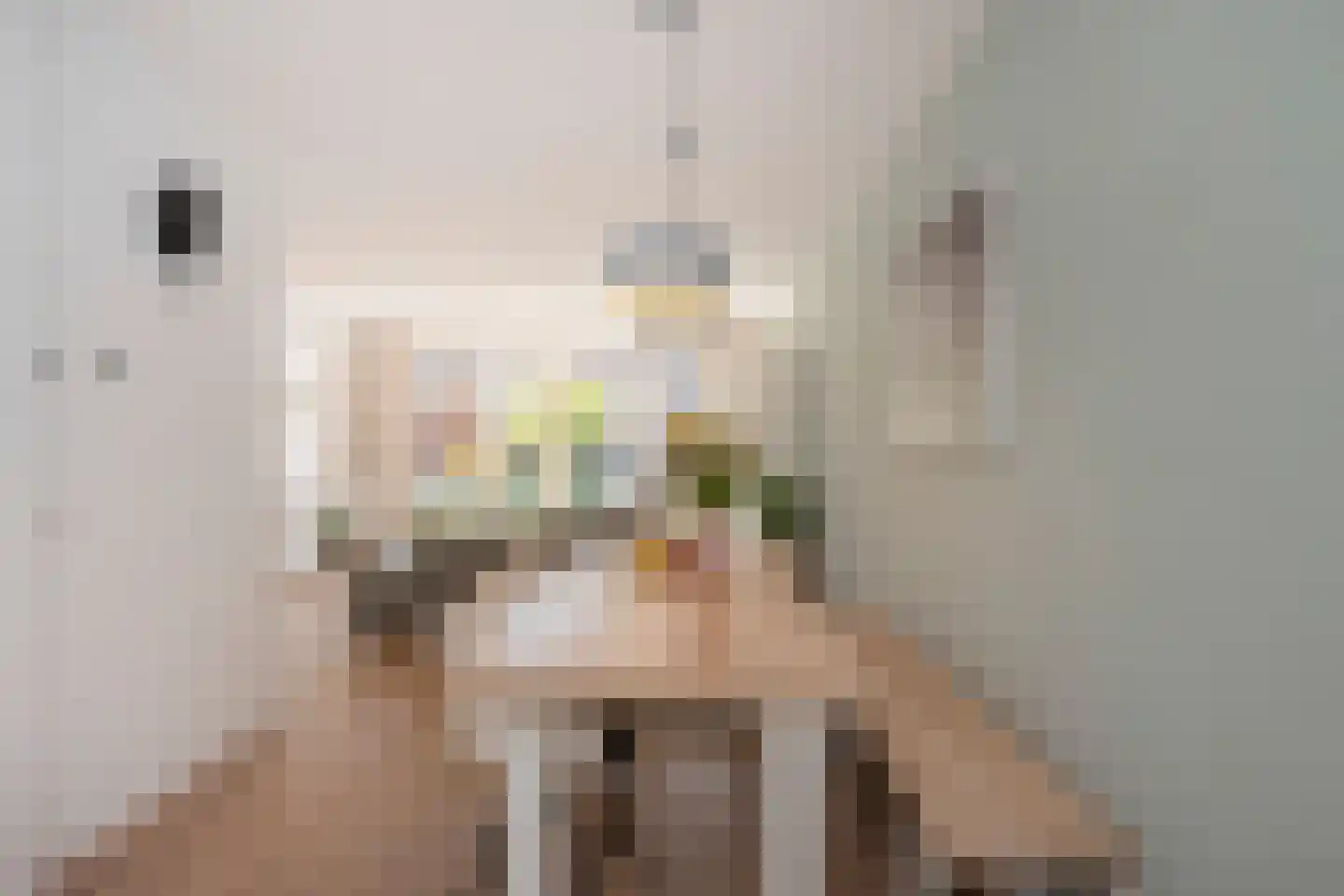 De Gronckelstraat 4 D Limbricht thumbnail 16