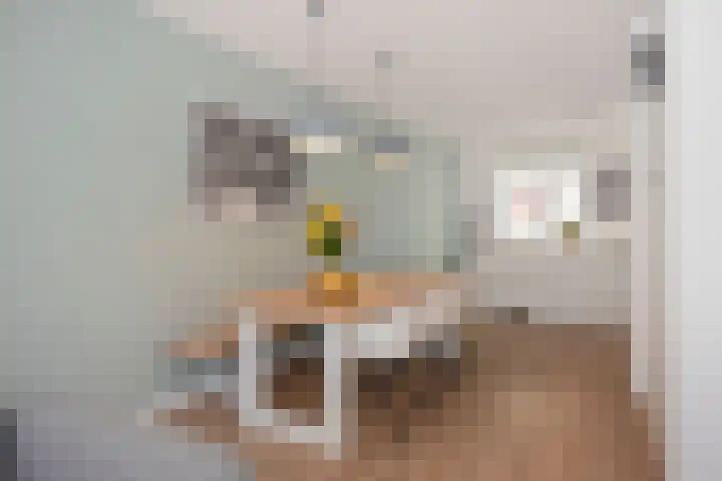 De Gronckelstraat 4 D Limbricht thumbnail 20